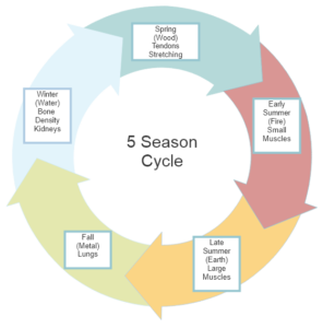 A depiction of the Generative and Destructive Cycles of the 5 Seasons
