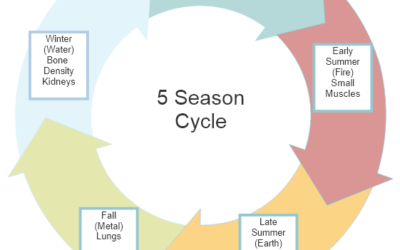 5 Seasons: Overview