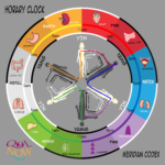 horary clock