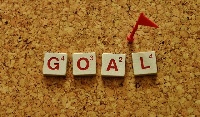 Why Train (part 1): Goals